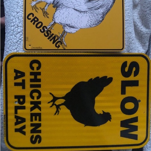 Chicken metal signs (one of each) - used for one year, minor signs of wear. - Picture 2 of 2